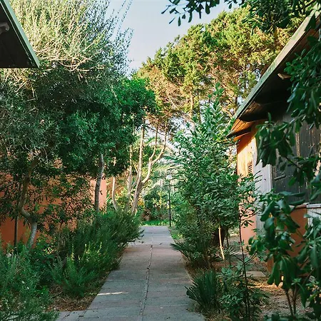 Κάμπινγκ Villaggio Torre Del Porticciolo Porto Conte
